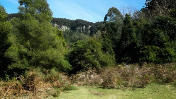 Clover hill trail walk (6km)