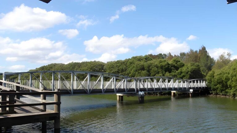 Davies reserve to salt pan creek footbridge walk (1km)