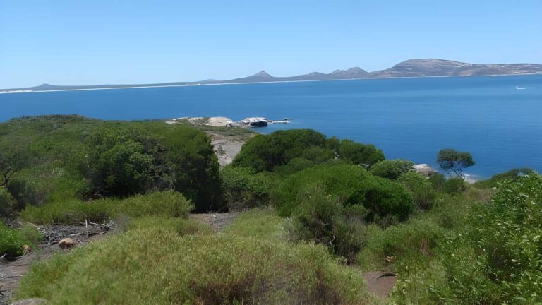 Island Top Trail Walk (2.1km) Island top trail walk (2. 1km)