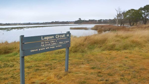 Lagoon circuit walking track (4. 8km)