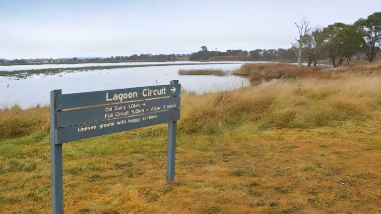 Lagoon Circuit Walking Track (4.8km) Lagoon circuit walking track (4. 8km)