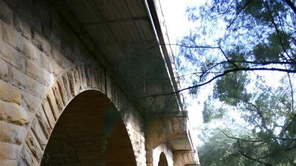Lapstone bridge zigzag walk (2km)