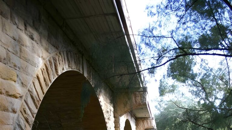 Lapstone bridge zigzag walk (2km)