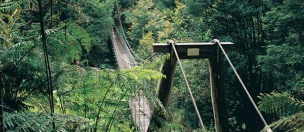 Mount Tassie Loop Hike (18.8km) Macscreek 600x262