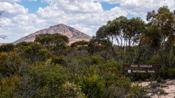 Peak charles trail walk (2km)