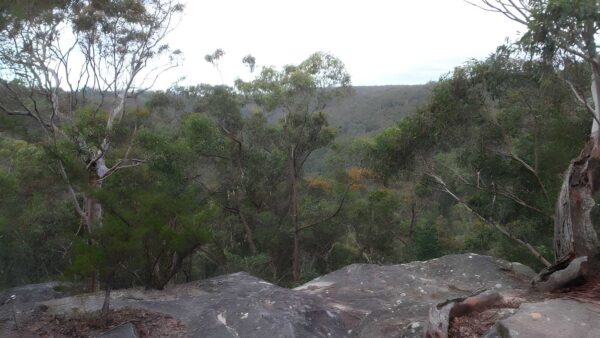 Raymond road to lawsons lookout walk (200m)