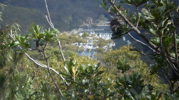 Slade Lookout Track (1.6km) Slade lookout track (1. 6km)