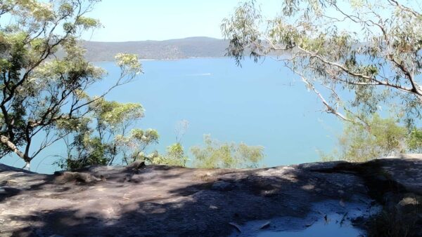 Warrah trig to patonga walk (2. 2km)