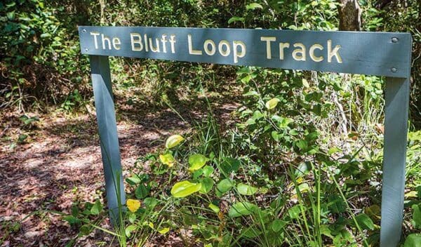 Bluff loop walking track trail hiking australia 600x352