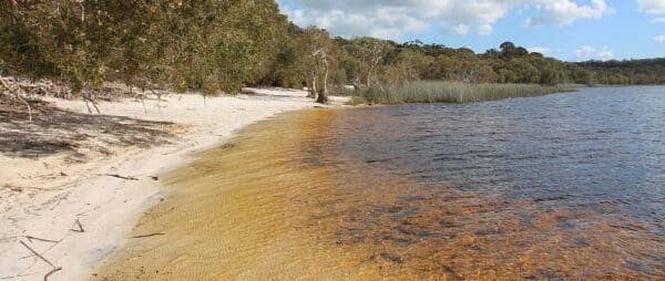 Brown lake north stradbroke island 600x254