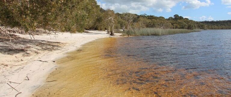 Brown lake north stradbroke island 768x325