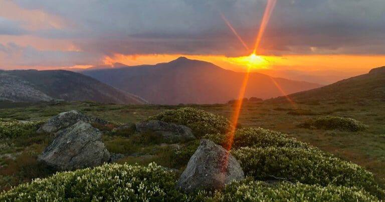 Find a hike or bushwalk