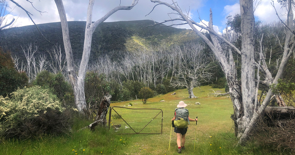 Fainter and spion kopje firetrail circuit