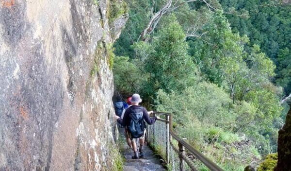 Hikes Furber steps scenic railway walking track trail hiking australia 600x352
