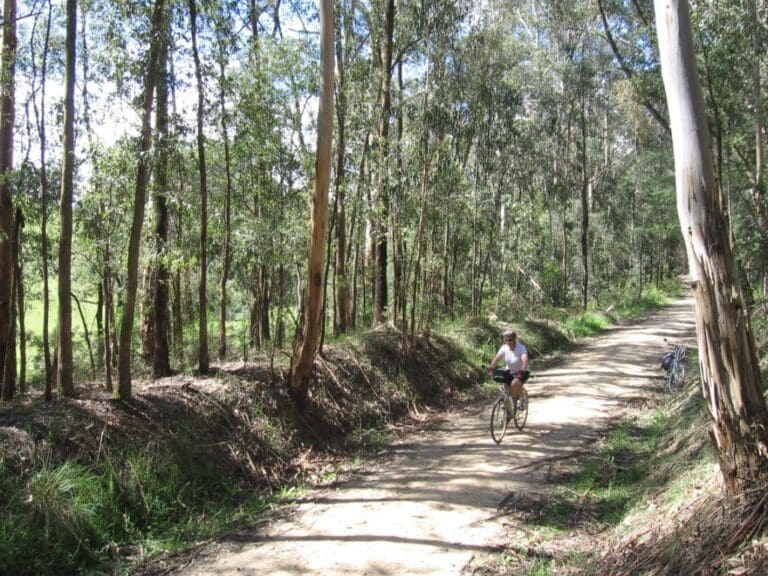Rokeby to Crossover Rail Trail Walk (5km) Rokeby to crossover rail trail 768x576