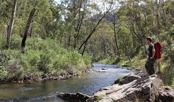 Kiandra Heritage Track (1.2km) Yarrangobilly river walk trail hiking australia 600x352