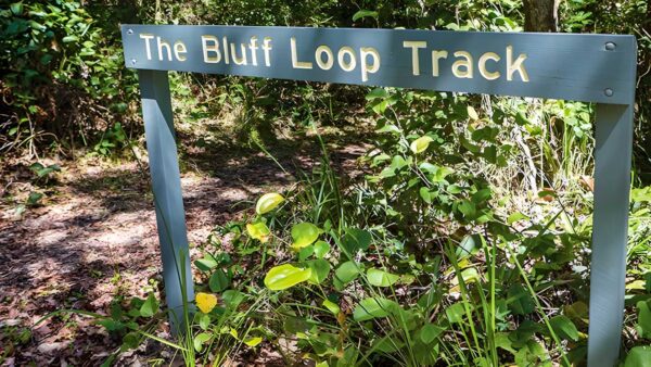 Bluff Loop Walking Track (2km) Bluff loop walking track (2km)