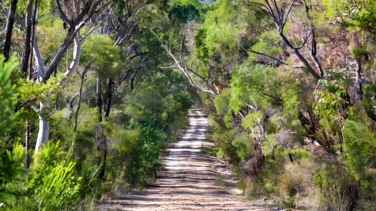 Dubbo Gully Loop Trail Walk (18km) Dubbo gully loop trail walk (18km)