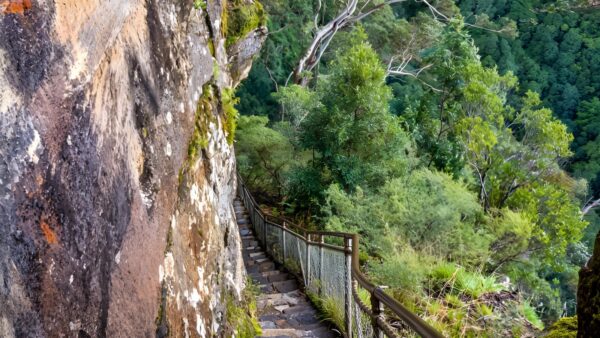 Furber steps-scenic railway walking track (2. 4km)