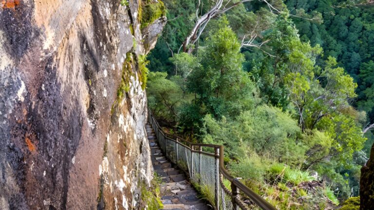 Furber Steps-Scenic Railway Walking Track (2.4km) Furber steps-scenic railway walking track (2. 4km)
