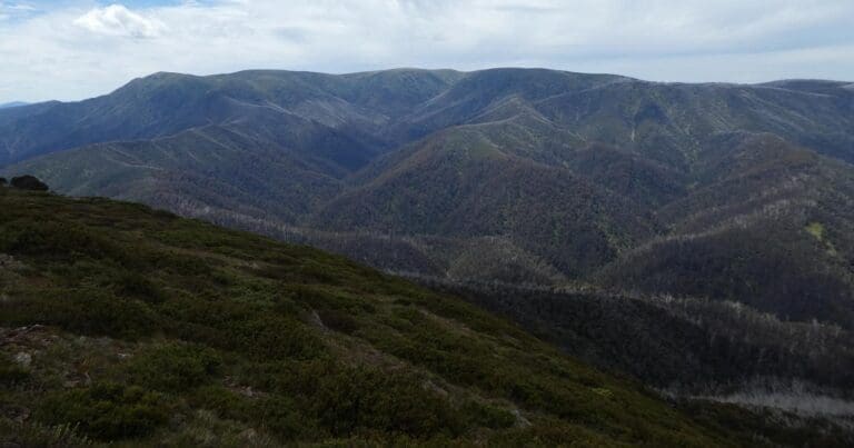 Mt bogong circuit from falls creek via quartz ridge track and spur