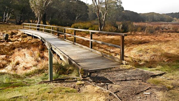 Polblue swamp track (3km)