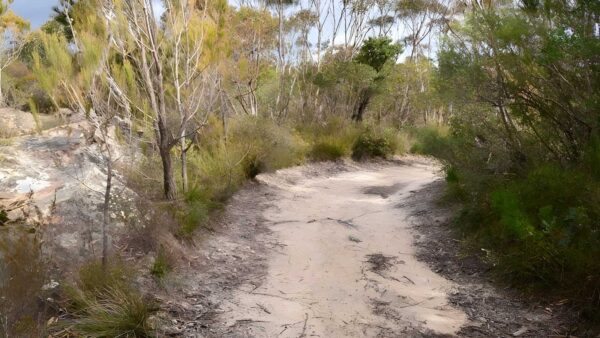 Red Rocks Trig Walking Track (1km) Red rocks trig walking track (1km)