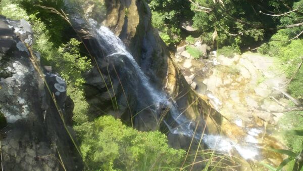 Round walk - leura cascades loop (800m)