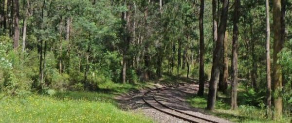 Trail hiking emerald to cockatoo trail 6 4m 600x254