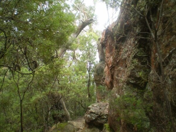 Hikes Conservation hut to breakfast point lookout 600x450
