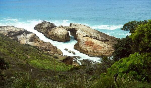 Diamond head loop walk trail hiking australia 600x352