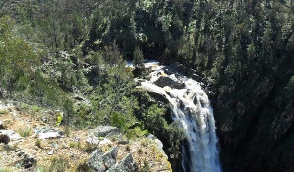 Grove creek falls walking track trail hiking australia 600x352
