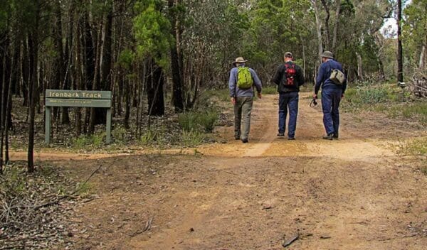 Ironbark walking track trail hiking australia 600x352