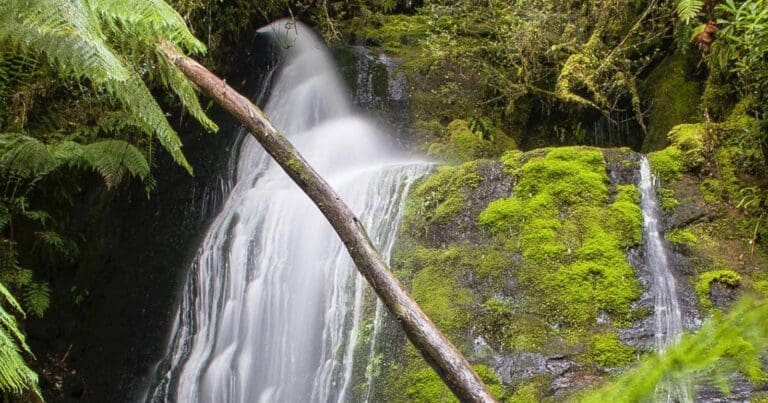 Mavista Falls Walk (3km) Mavista falls 768x403
