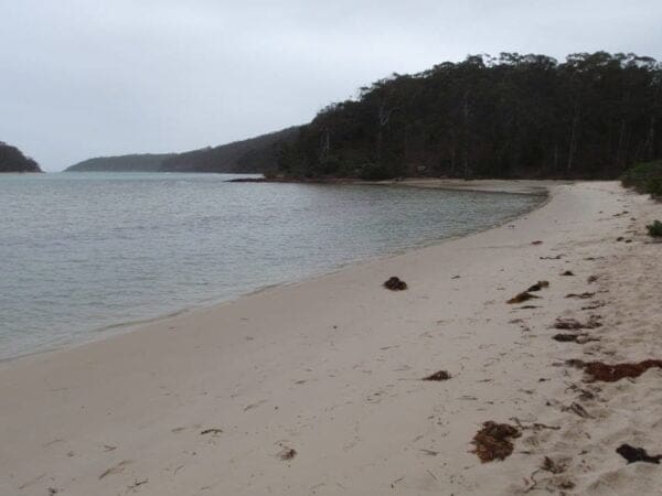 Severs beach 600x450