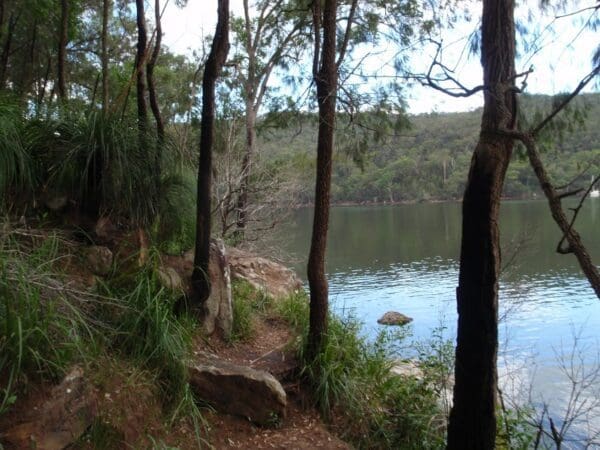 Hikes Sphinx to mt kuring gai 600x450