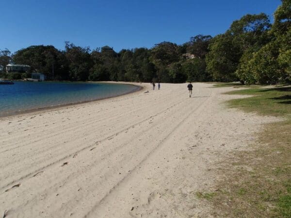 Circular Quay to Hornsby Hike (44.4km) Taronga zoo to spit bridge 600x450