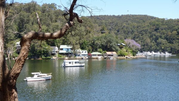 Berowra to cowan - berowra waters hike (12. 9km)