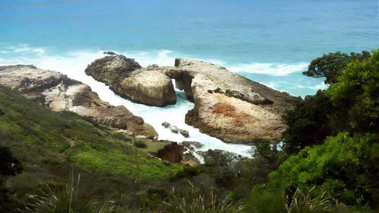 Diamond head loop walk (4. 3km)