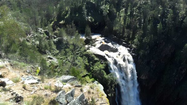 Grove creek falls walking track (6km)