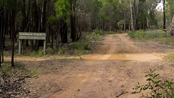 Ironbark walking track (4km)