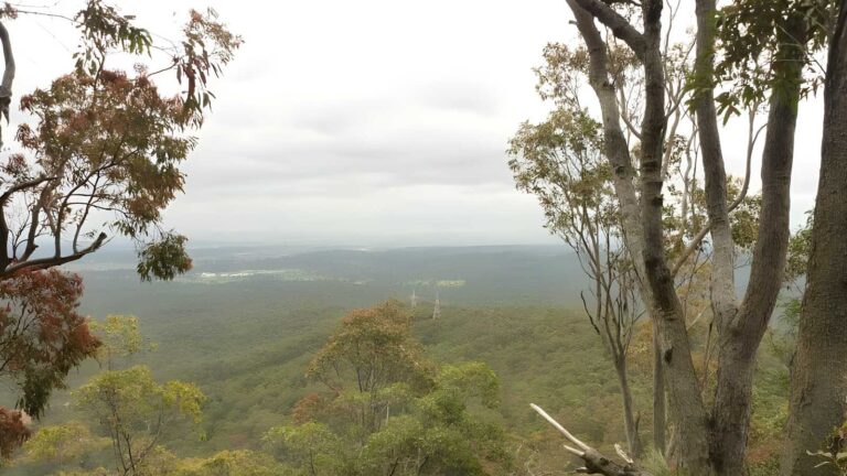 Mount sugarloaf northern track (3. 8km)