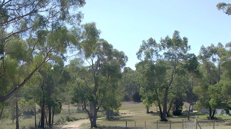 Peter Murrell Reserves & Coffee Creek Track (7.8km) Peter murrell reserves & coffee creek track (7. 8km)
