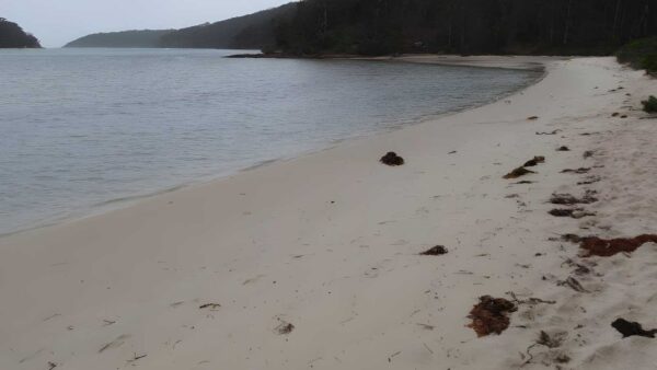 Severs beach walk (3. 2km)