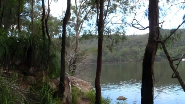 Sphinx to mt kuring-gai hike (10. 7km)