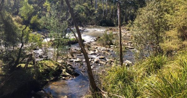Trail hiking warrandyte state park the missing link along the yarra 600x315