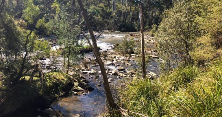 The Missing Link Along the Yarra Hike (7.5km) Trail hiking warrandyte state park the missing link along the yarra 768x403