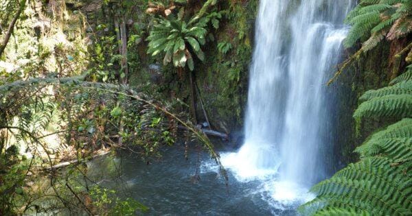 Triplet Falls Circuit Walk (1.8km) Beauchamp falls 600x315