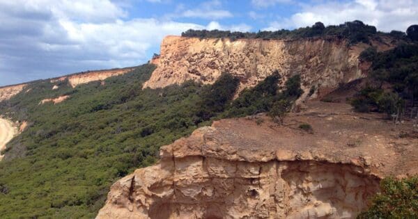 Bells beach ironbark forest 600x315