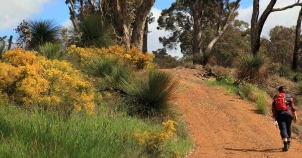 Hikes Bicentennial trail 600x315